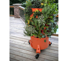 Load image into Gallery viewer, Garden Tower 2™ Move and Grow Bundle