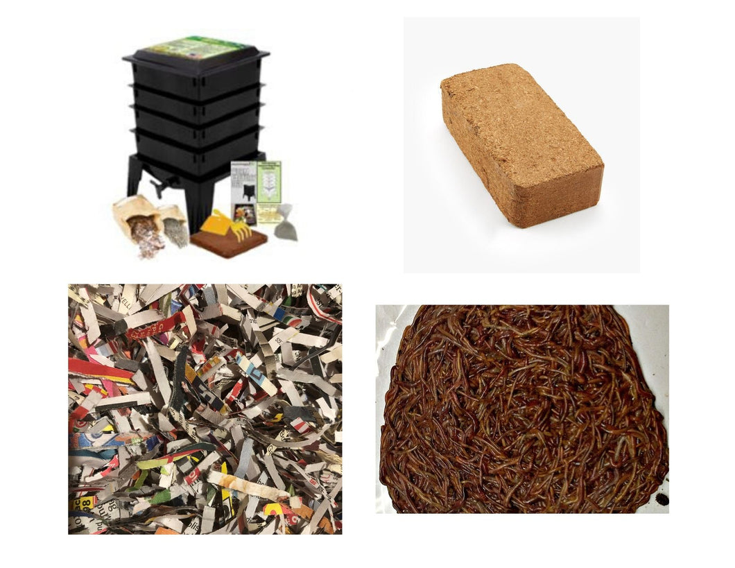 ﻿Complete Vermicomposting Starter Kit includes everything you need to get started.   one Worm Factory 360 , one pound of Red Wiggler composting worms, three bricks of Coconut Coir and shredded newsprint. This kit pricing is available for pick up only.